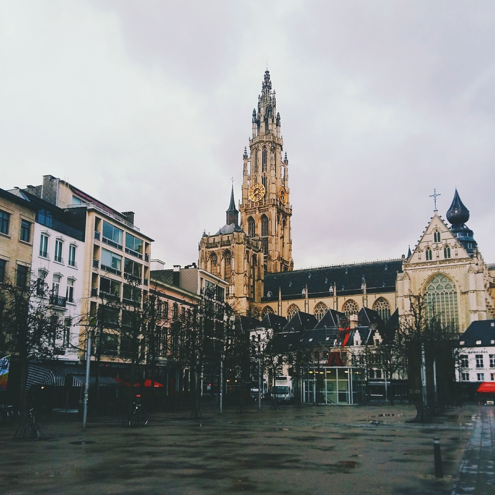How to Enjoy Antwerp with Young Kids: Local Favorites