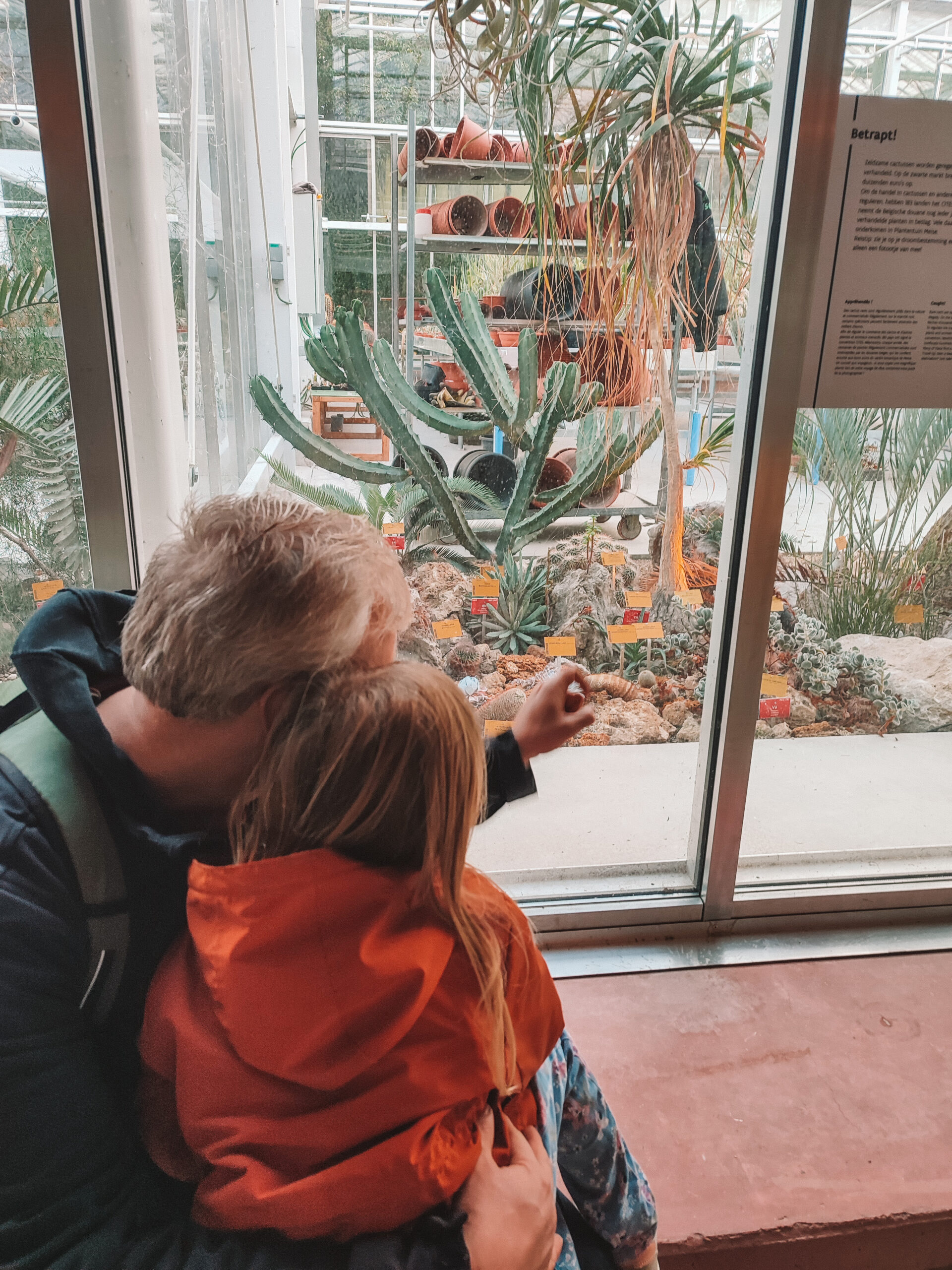 Plantentuin Meise with Kids: A Perfect Family Day Out in Any Season